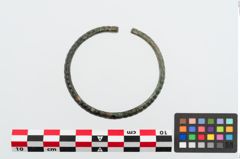 Foto von Bronzearmreif (NHMW-PRAE-023951)